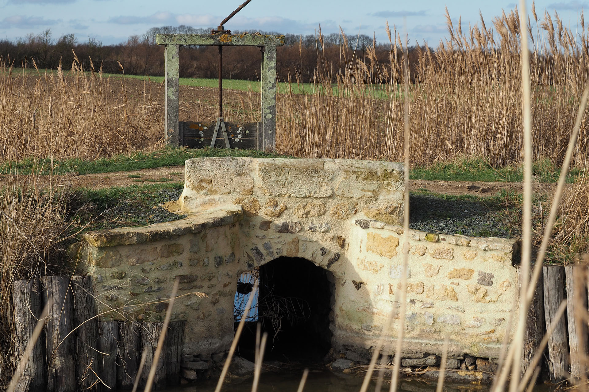 Un portereau de Champagné-les-Marais