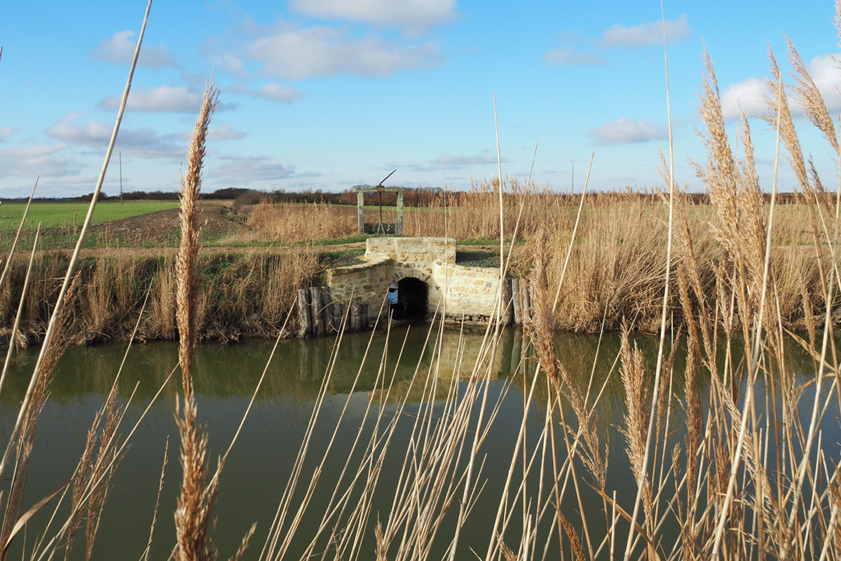 Ouvrages-hydrauliques : portereau à Champagné-les-Marais