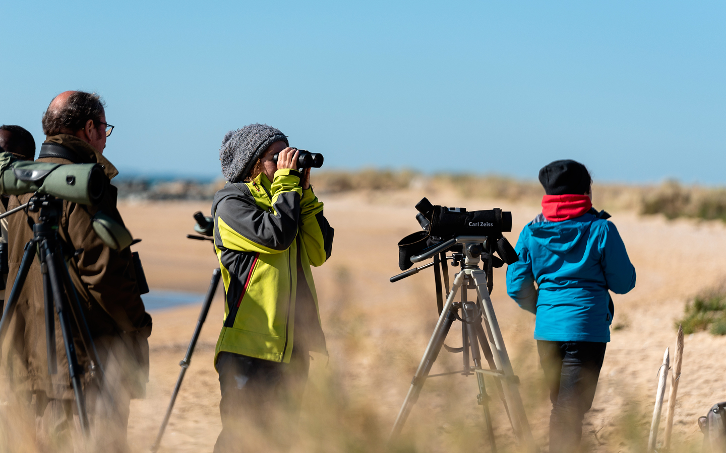 Ornithologie au camp de migration à la Pointe de l'Aiguillon