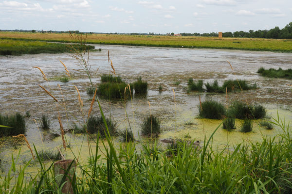Nature préservée et parcs en Vendée