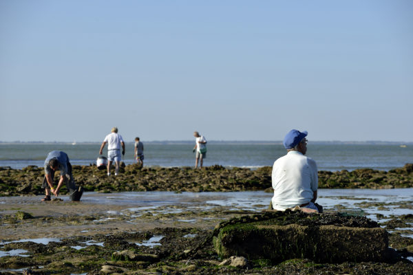Pêche