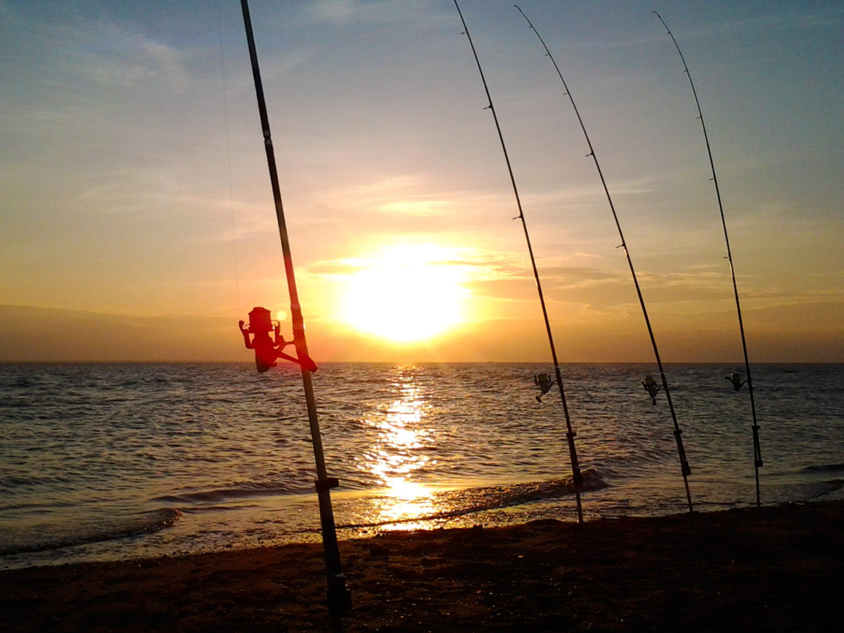 Pêche au surfcasting sur la plage de La Faute-sur-Mer