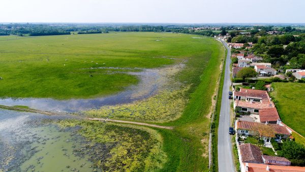 Le communal de Lairoux, réservoir de richesses