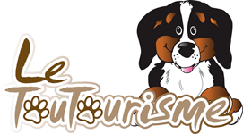 Logo du club du Toutourisme