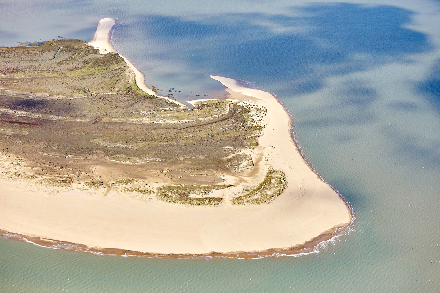 La Pointe d'Arcay à La Faute-sur-Mer, un lieu magique et sauvage