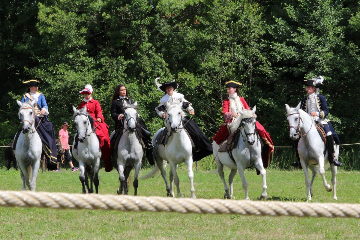 Festival-Histoire-France-Sainte-Hermine (25)