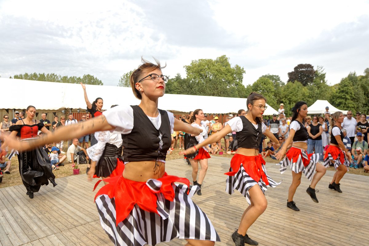 Festival-Histoire-France-Sainte-Hermine (35)