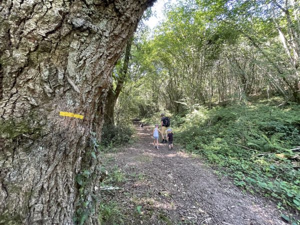 Balades & randonnées