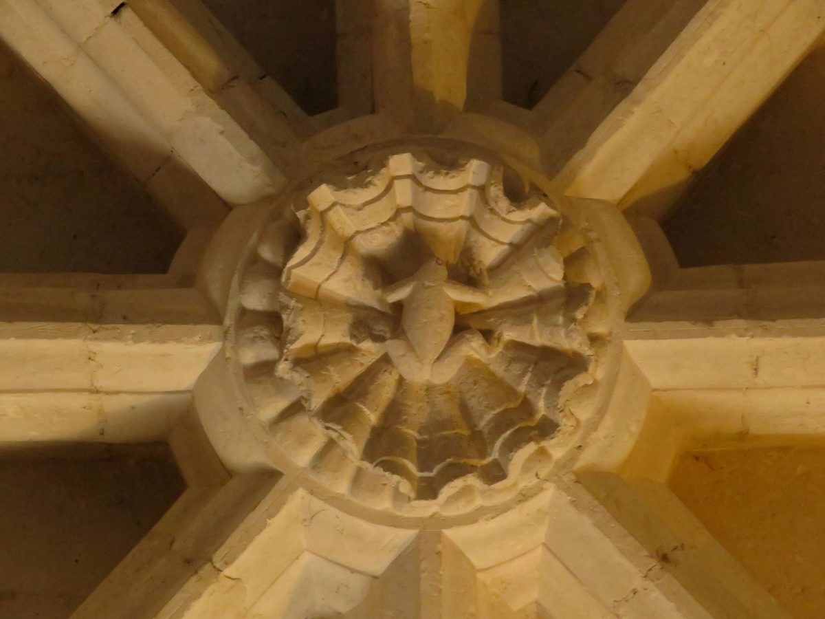 Cathedrale-Notre-Dame-de-Assomption-Luçon-Vendée-Grenouille-WC