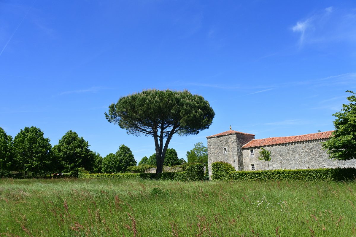 Jardin Chaligny Sainte-Pexine (2)