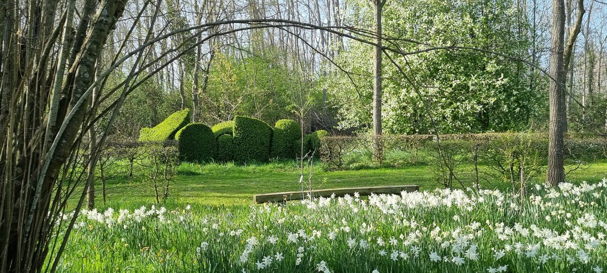 Jardin Sainte-Pexine Logis de Chaligny 9