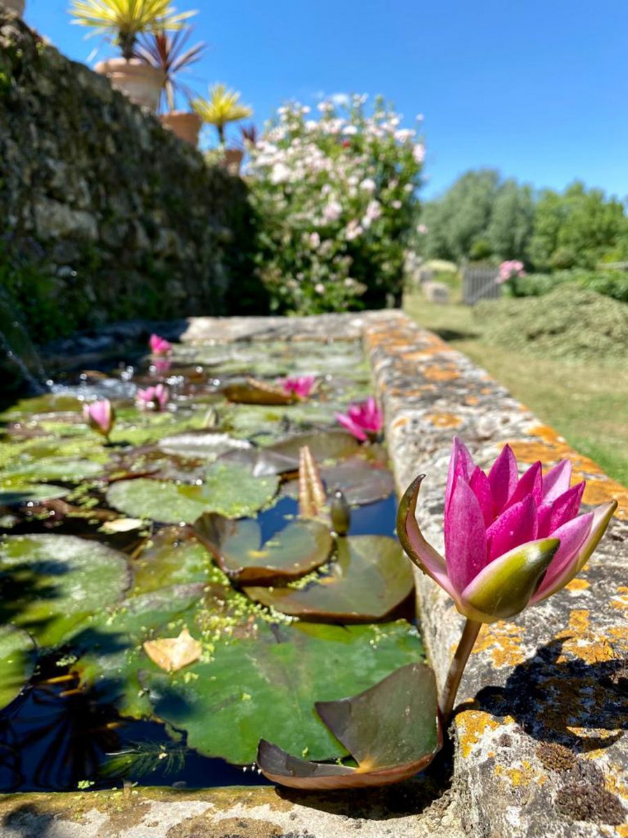 Logis de Chaligny_Sainte-Pexine_CG (30)