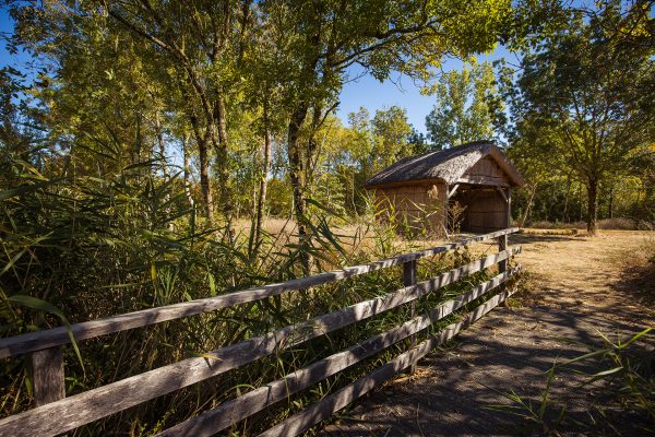 Marais poitevin : Visites