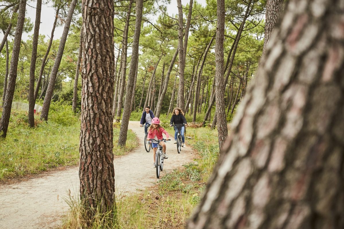 Un couple et leur fille à vélo sur une piste cyclable en plein coeur d'une forêt de pins