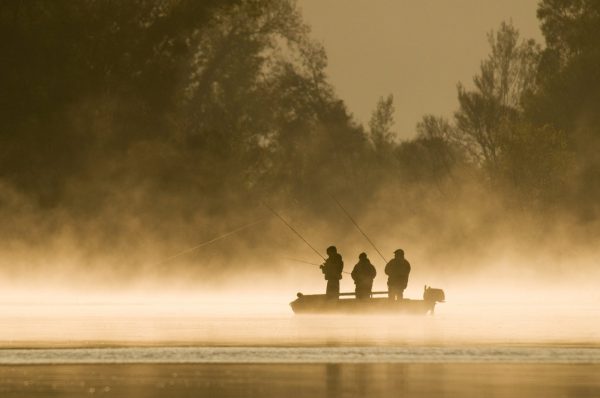 Stage de pêche en bateau à L’Ile d’Elle