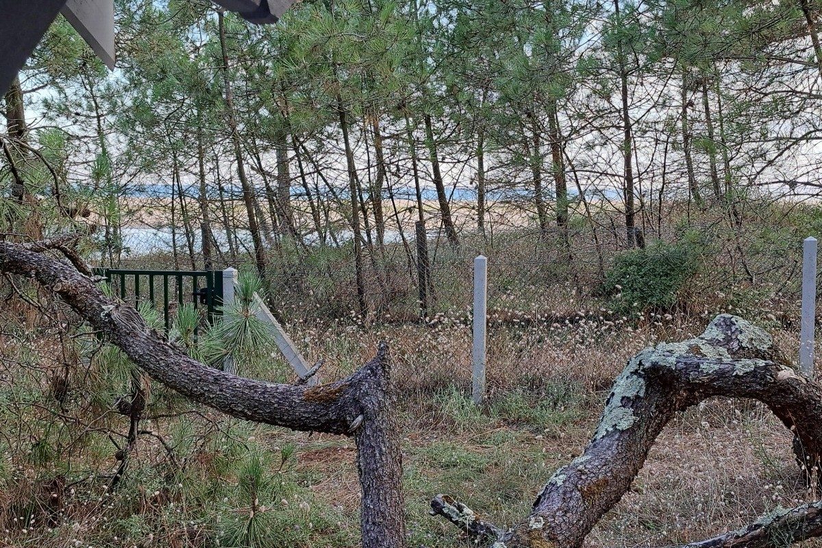 351785 – Vue sur la réserve naturelle de la Belle Henriette
