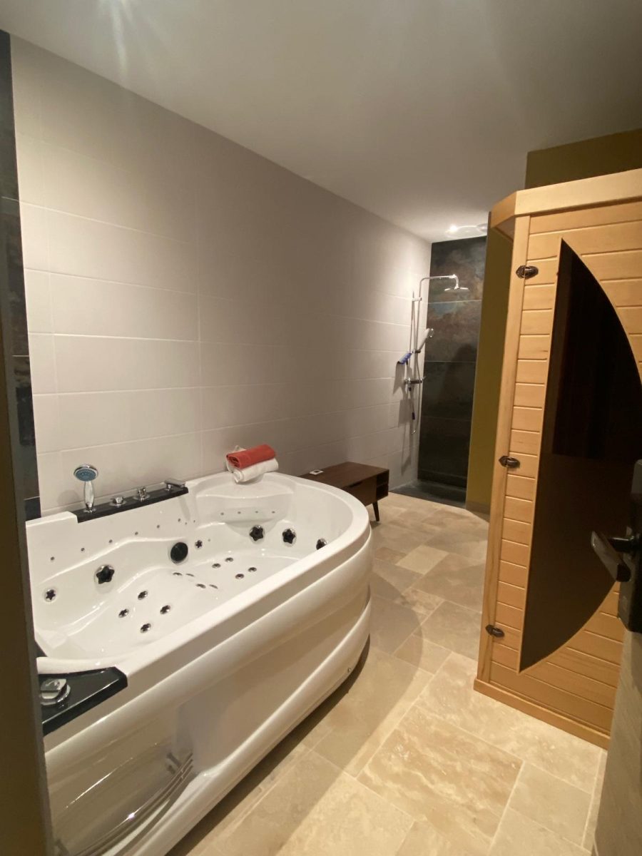 Meublé La Grange des Arondes_Les Magnils Reigniers_Espace détente