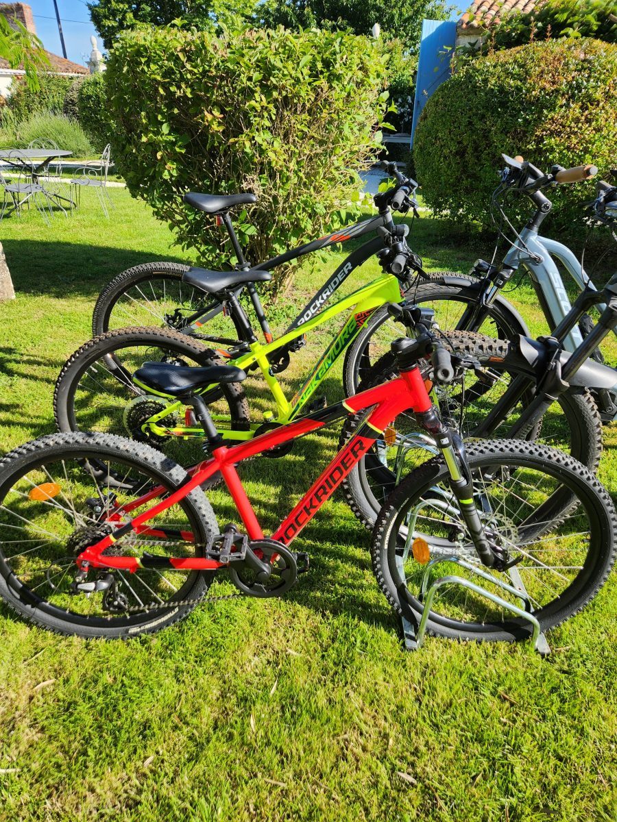 Meublé Le Héron Cendré_Chaillé les Marais_Location vélos enfants