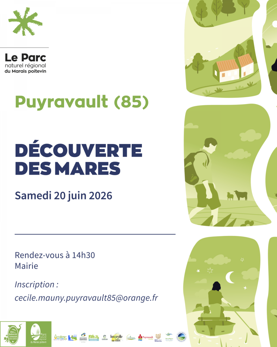 20 6 26 puyravault