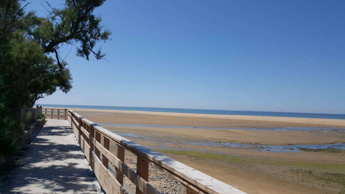 MEUBLÉ PLÉNITUDE – L’AIGUILLON-SUR-MER_Balade bord de mer