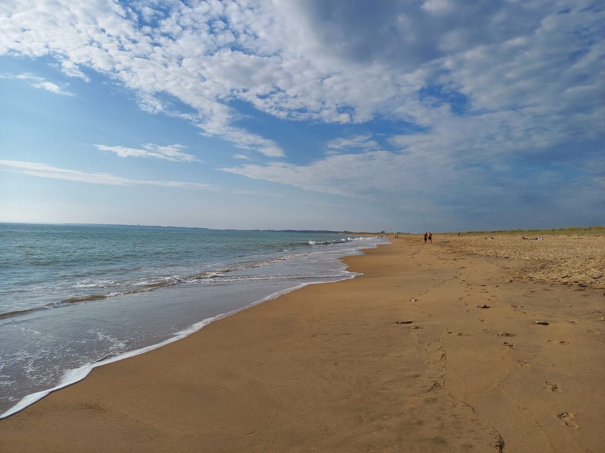 Plage des Chardons /La Faute sur Mer