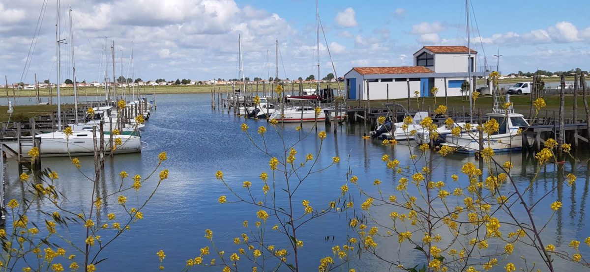 Meublé La Dune_Triaize_Port de La Faute