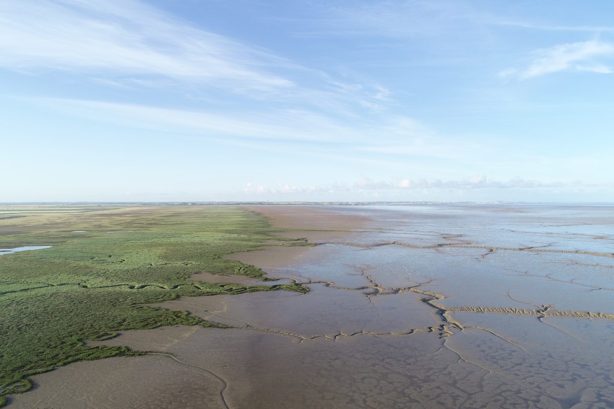 RNN Baie de l’Aiguillon – Port du Pavé