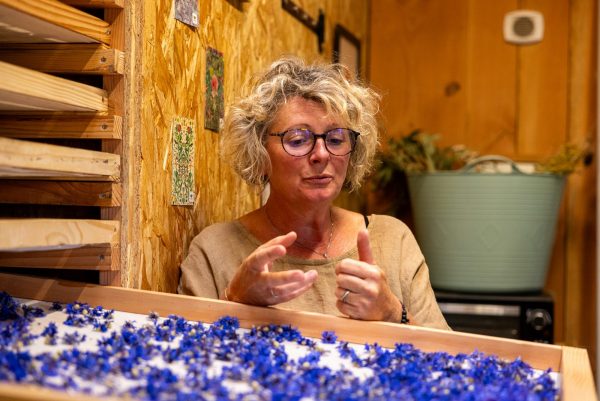 Plantes aromatiques, Les Fées des Herbes