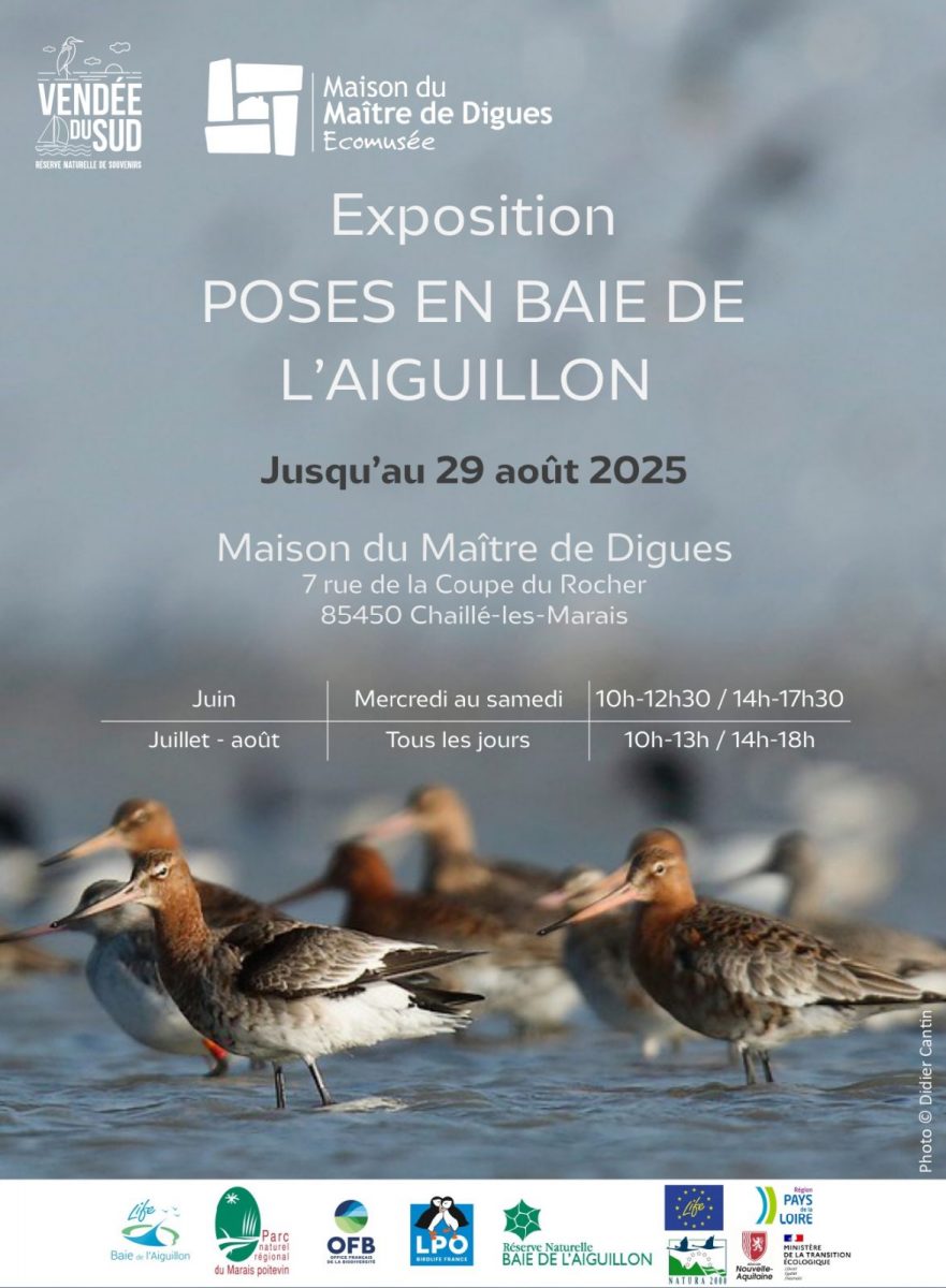 2025_Affiche_expo_maison-maitre-digues