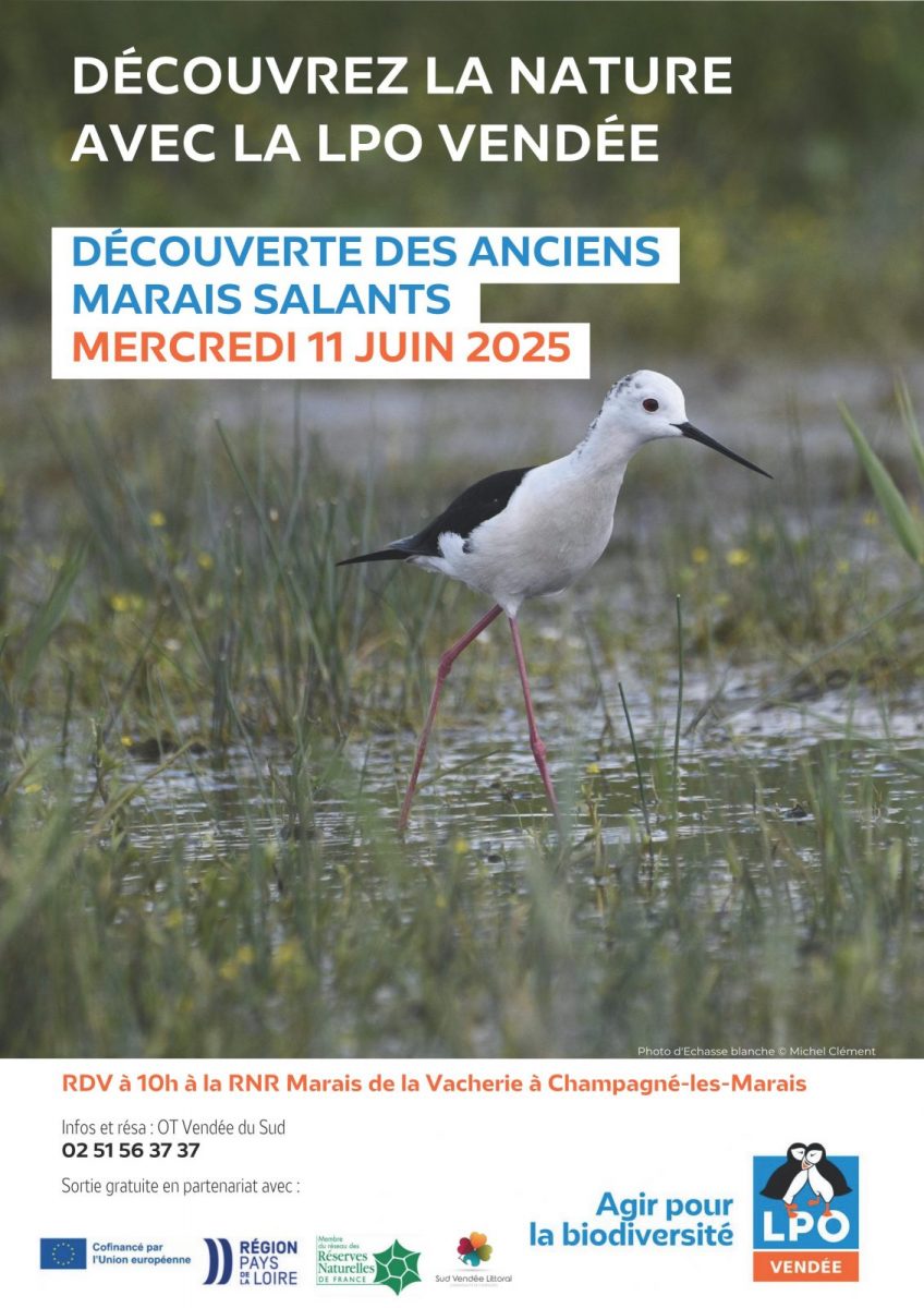 LPO85-Champagné les marais-Affiche Marais salants