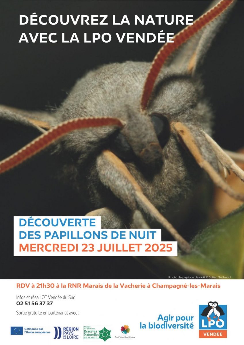 LPO85-Champagné-les-marais-Papillons de nuit