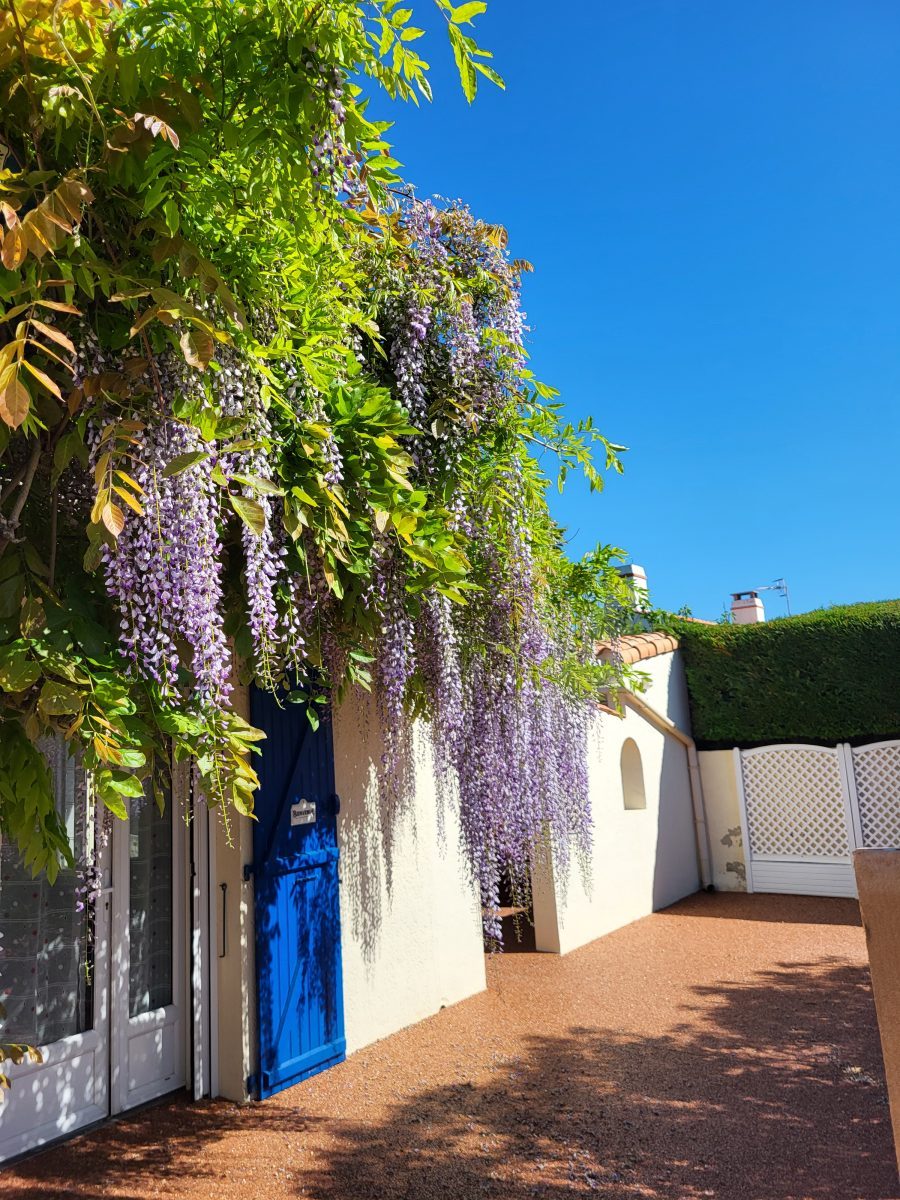 Meublé Le Carrour_L&rsquo;Aiguillon La Presqu&rsquo;Ile_Extérieurs