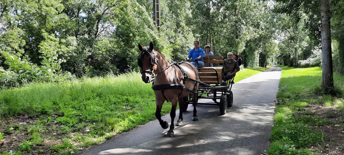 Balade dans le marais en direction de Mortevieille