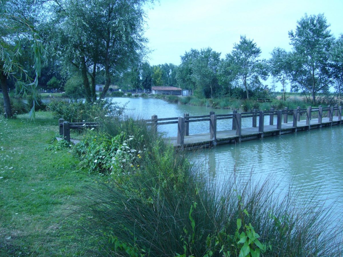 403116 – Plan d’eau de St Michel