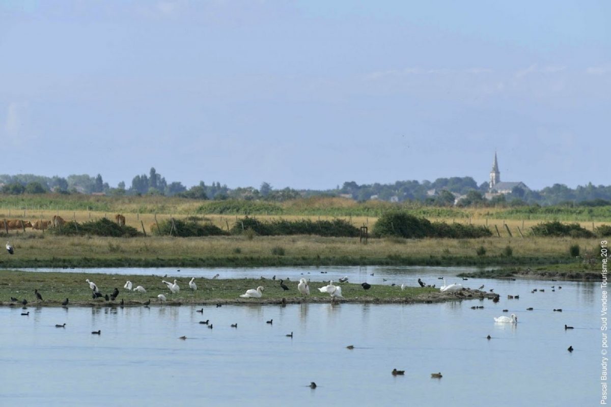 403801 – Réserve naturelle Bosselin