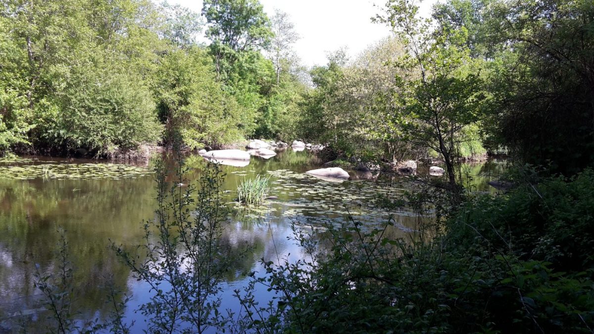 403805 – La Vallée de L Yon