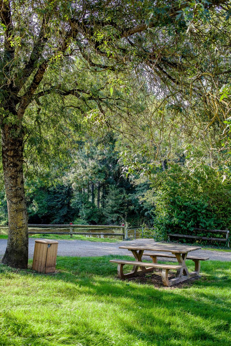 AIRE DE PIQUE-NIQUE – CHEMIN DE LA BALURIE-MOUTIERS-SUR-LE-LAY- PIQUE NIQUE