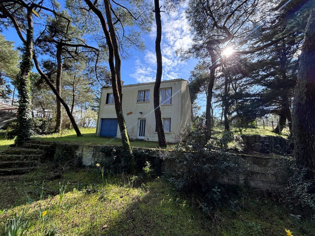 484441718_1219990229549418_6441717778476901110_n