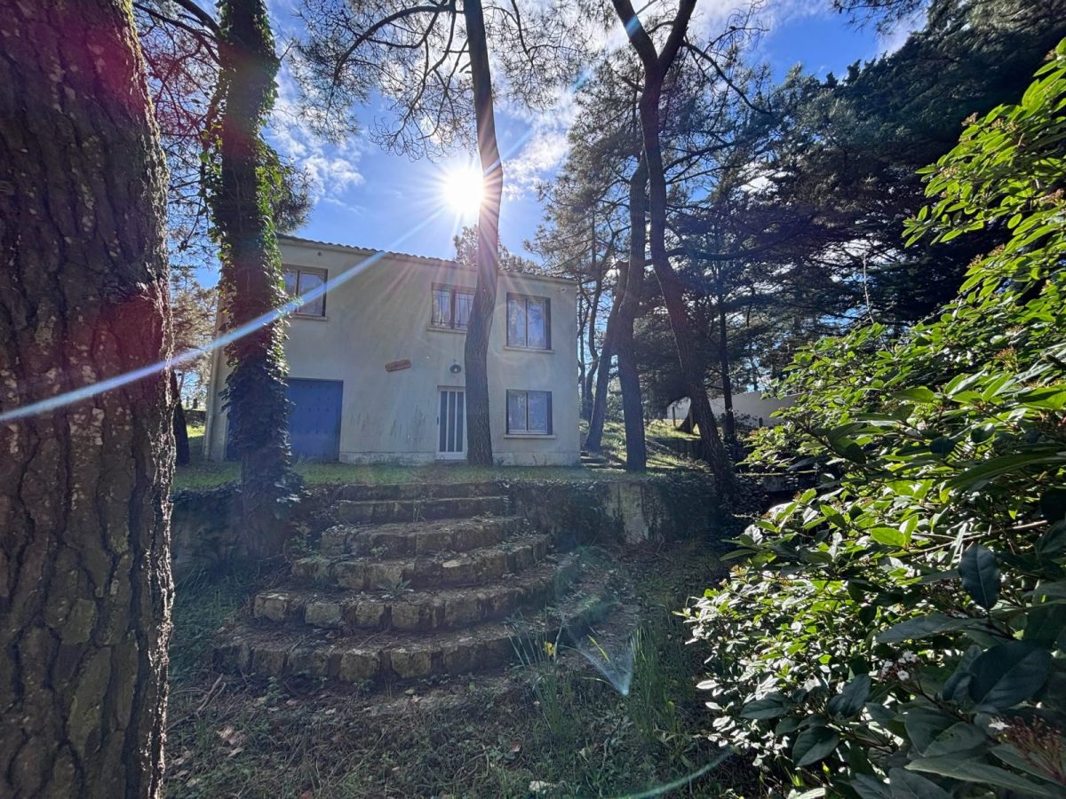 484979990_541045409025050_9208139410594659327_n