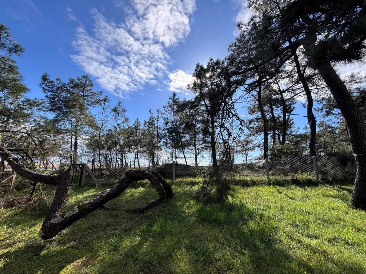 485083738_923158199747471_6480412567864282096_n