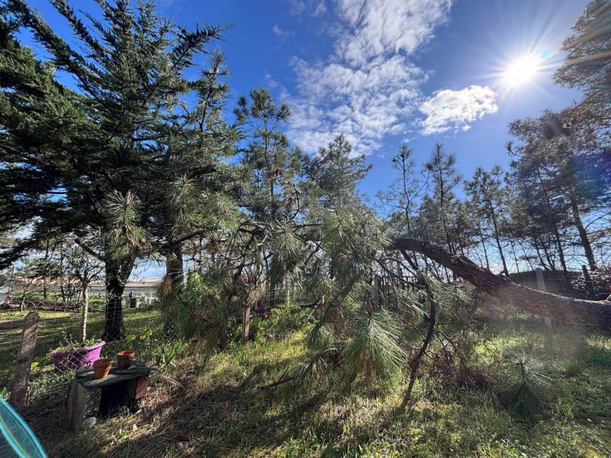 485083853_990802746524064_3430649807841925651_n