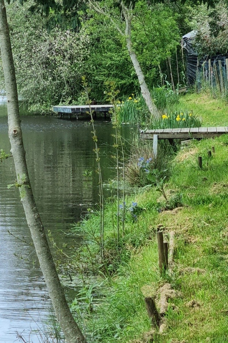 186214 – BERGES FLEURIES