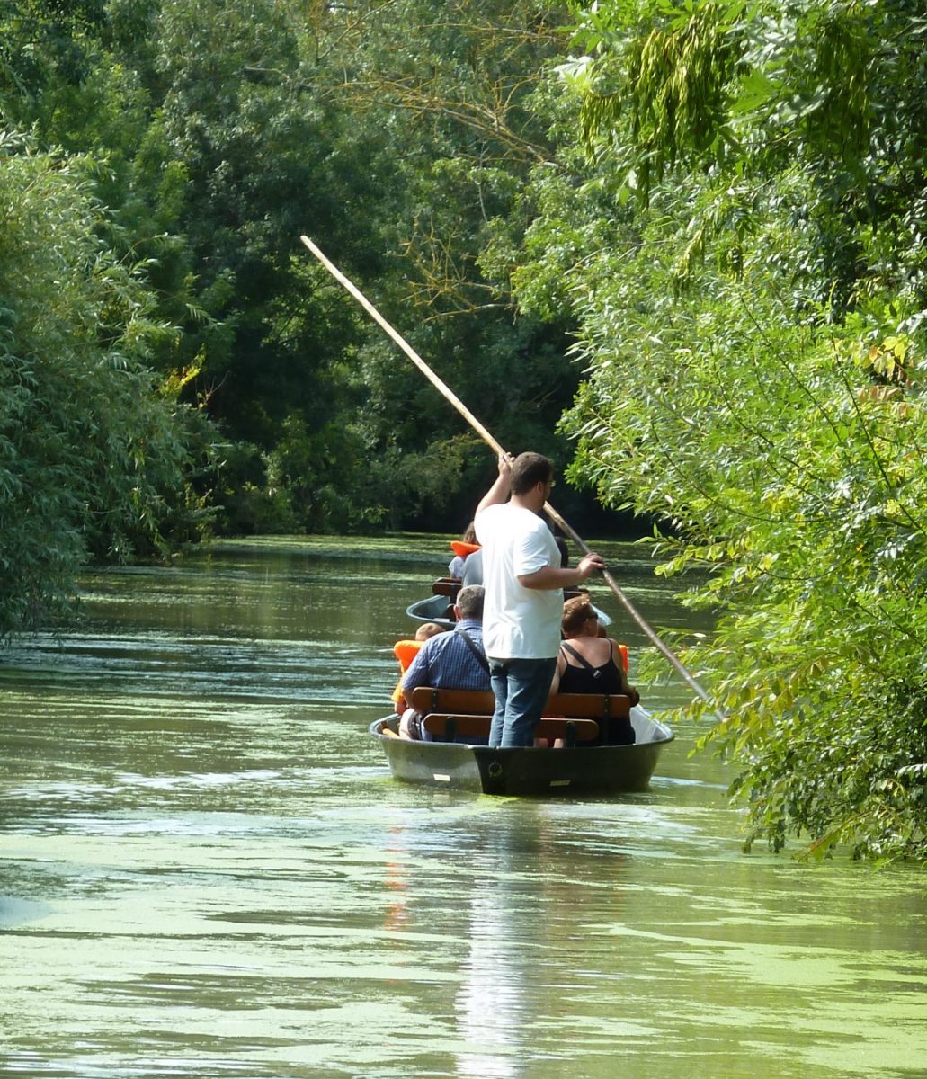 A la pigouille dans le Marais Poitevin