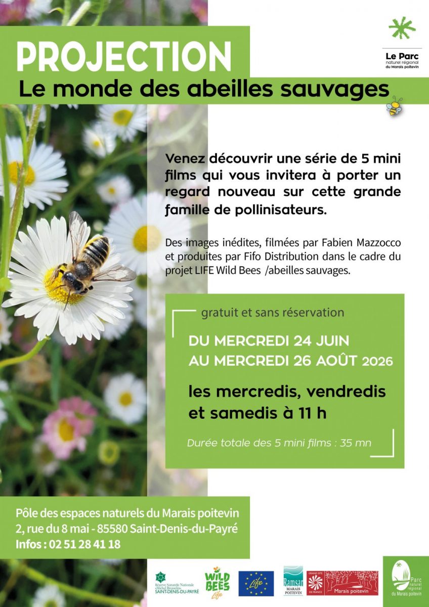 AFFICHE films saint denis du payre wild bees (1)