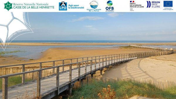 Visite découverte de la réserve naturelle de la Belle Henriette