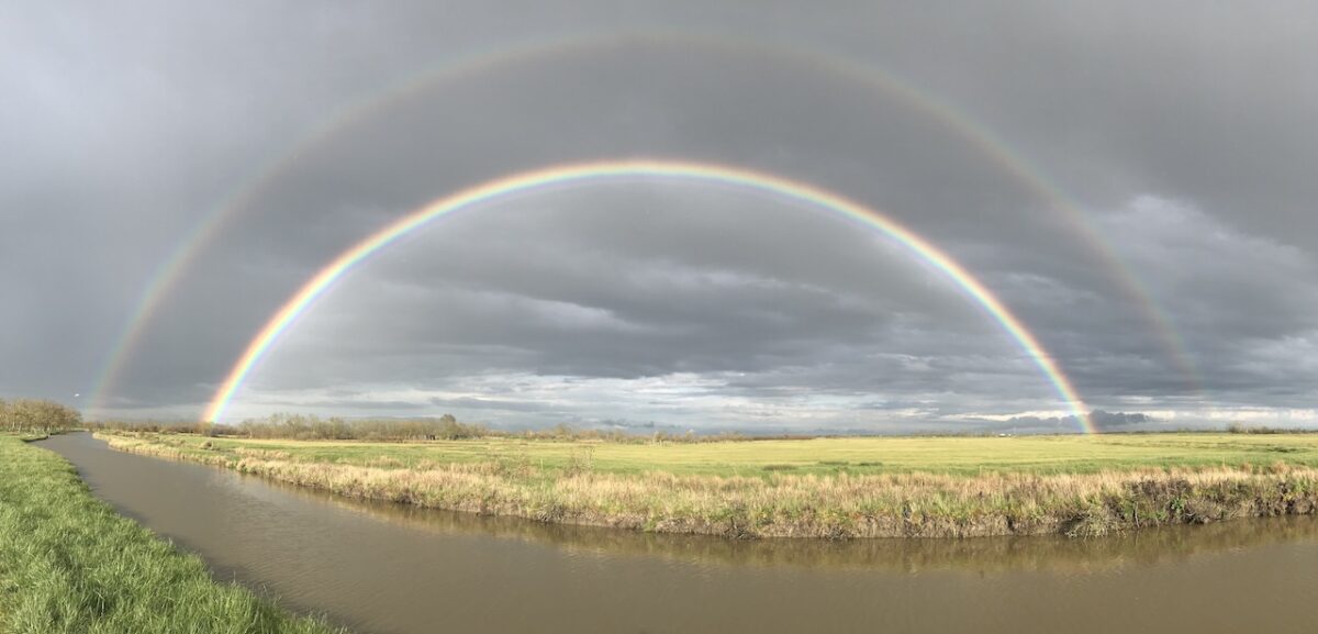 Meublé la maison du mûrier_Luçon_Arc en ciel marais -Triaize