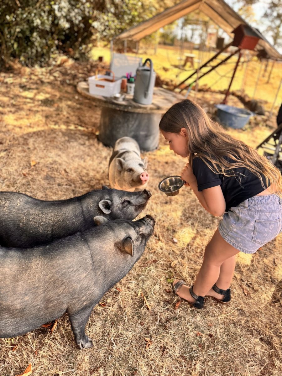 Ferme pédagogique « Au coeur de chez vous »