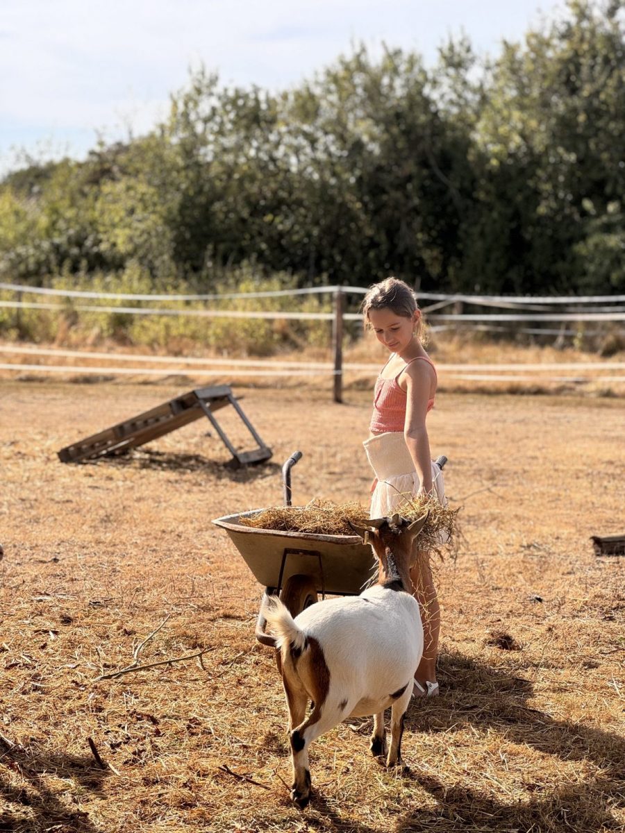 Ferme pédagogique « Au coeur de chez vous »