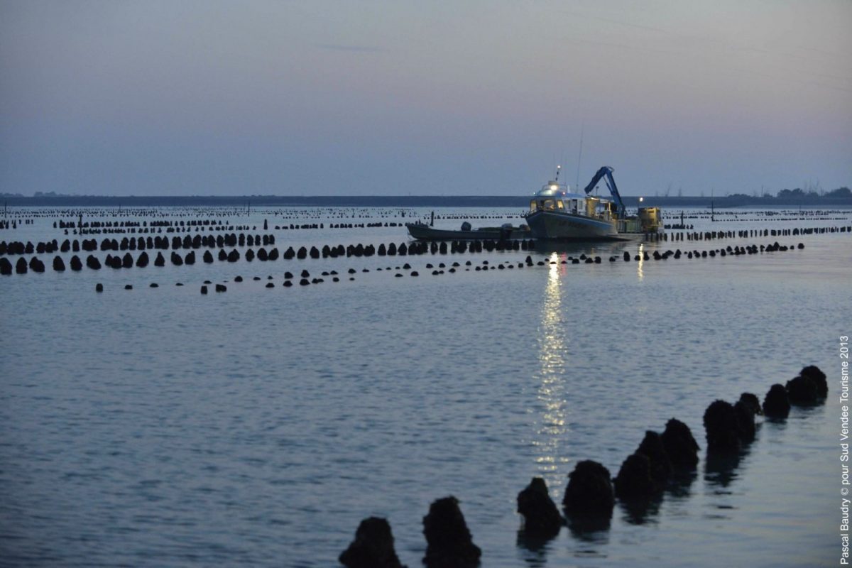 Baie_de_lAiguillon_sur_Mer
