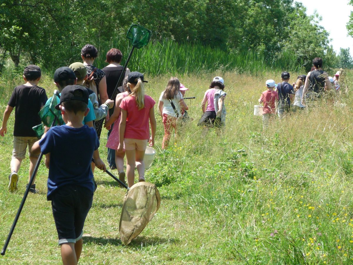 Réserve Biologique Départementale- Sortie groupe Nalliers